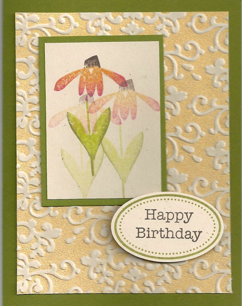 F162 Beth Coneflower Lg