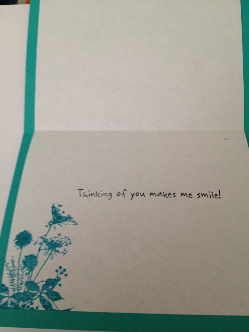 teal butterflies inside