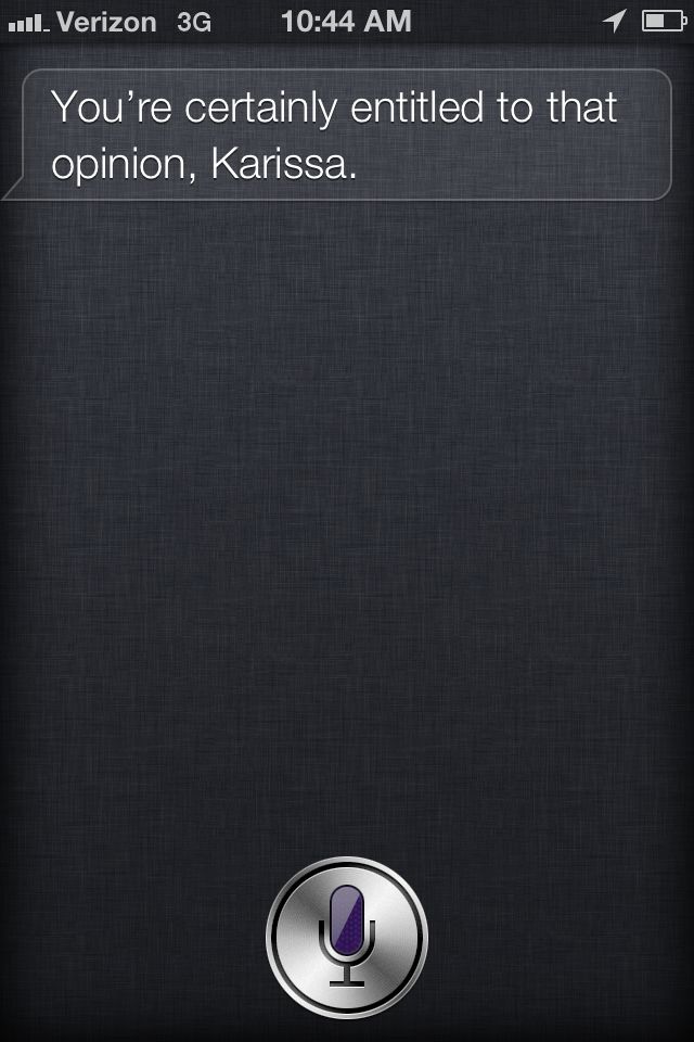 IMG_6764-siriresponse