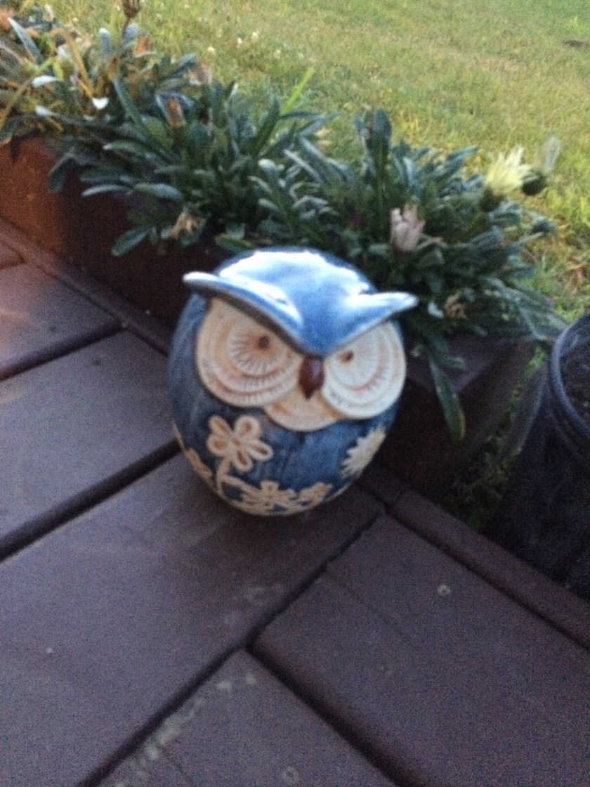 blue owl